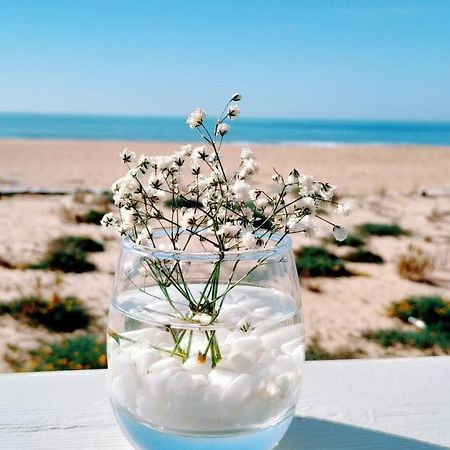 오이라스 Flor Do Mar 아파트 외부 사진